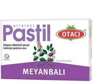 Otacı Meyanbalı Bitkisel Pastıl 16 Adet
