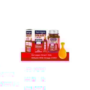 Sorvagen Smart Kids Sitikolin DHA Omega 3 Norveç Balık Yağı B12 60 Kapsül 8680057351717